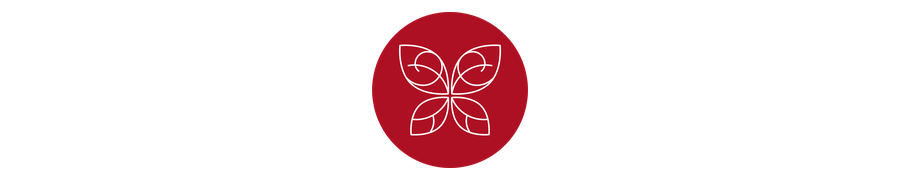 Valdres sommersymfoni Logo