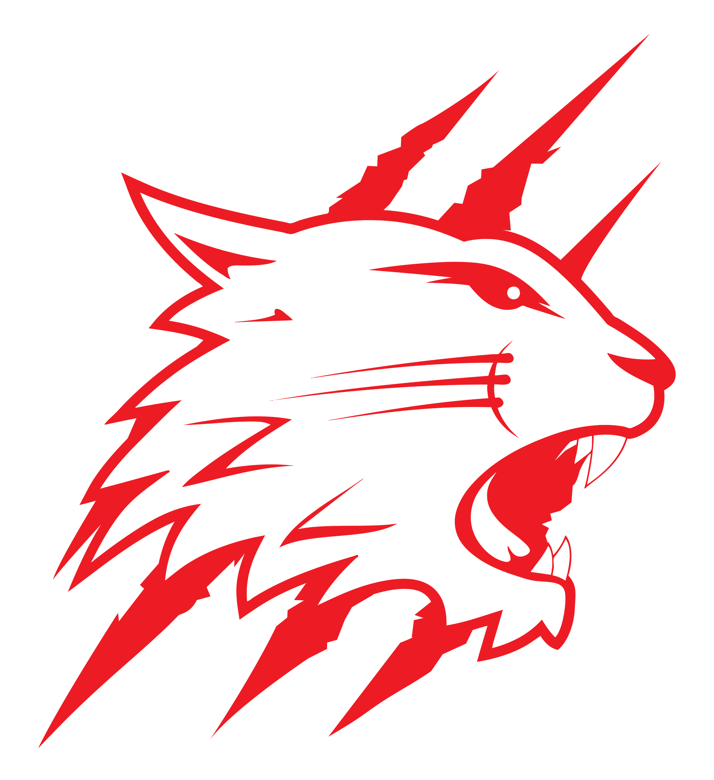 Swindon Wildcats V Sheffield Steeldogs Live Stream 13 02 2021 F O 18