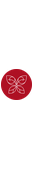 Valdres sommersymfoni Logo