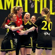 Event image AIK dam- HK Drott