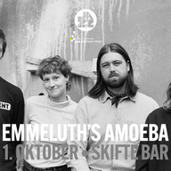 Event image EMMELUTH'S AMOEBA