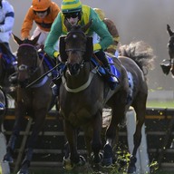 Event image Saturday 23 January - Suppliers Raceday