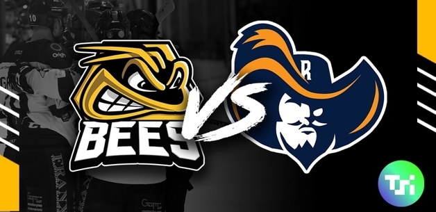 Event image for TSI World Bees vs Raiders IHC