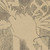 Thumb file 1521449673