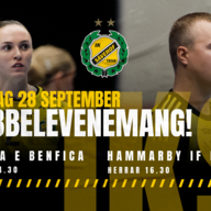 Event image Dubbelevenemang Sävehof vs Benfica (d) - Sävehof vs Hammarby (h)