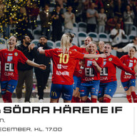 Event image BAIK Futsal Dam - Södra Härene IF i Regionala Futsalligan