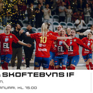 Event image BAIK Futsal Dam - Skoftebyns IF i Regionala Futsalligan