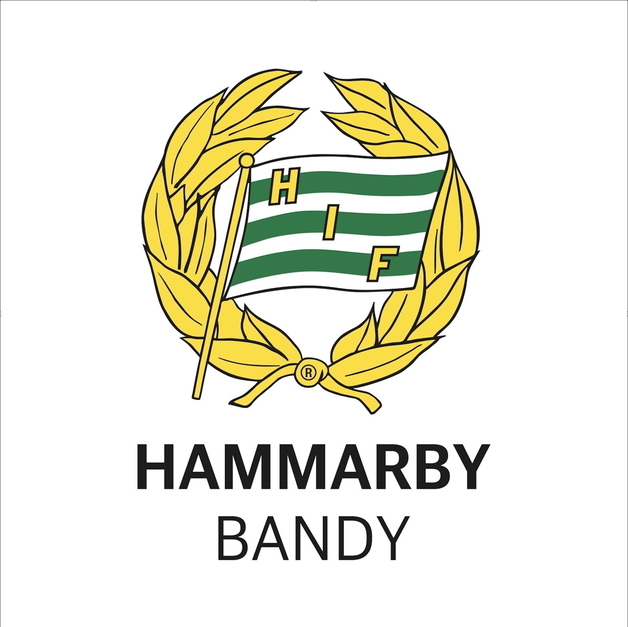 Event image Hammarby Bandy - Sandviken AIK | Elitserien 2025 (Herr)