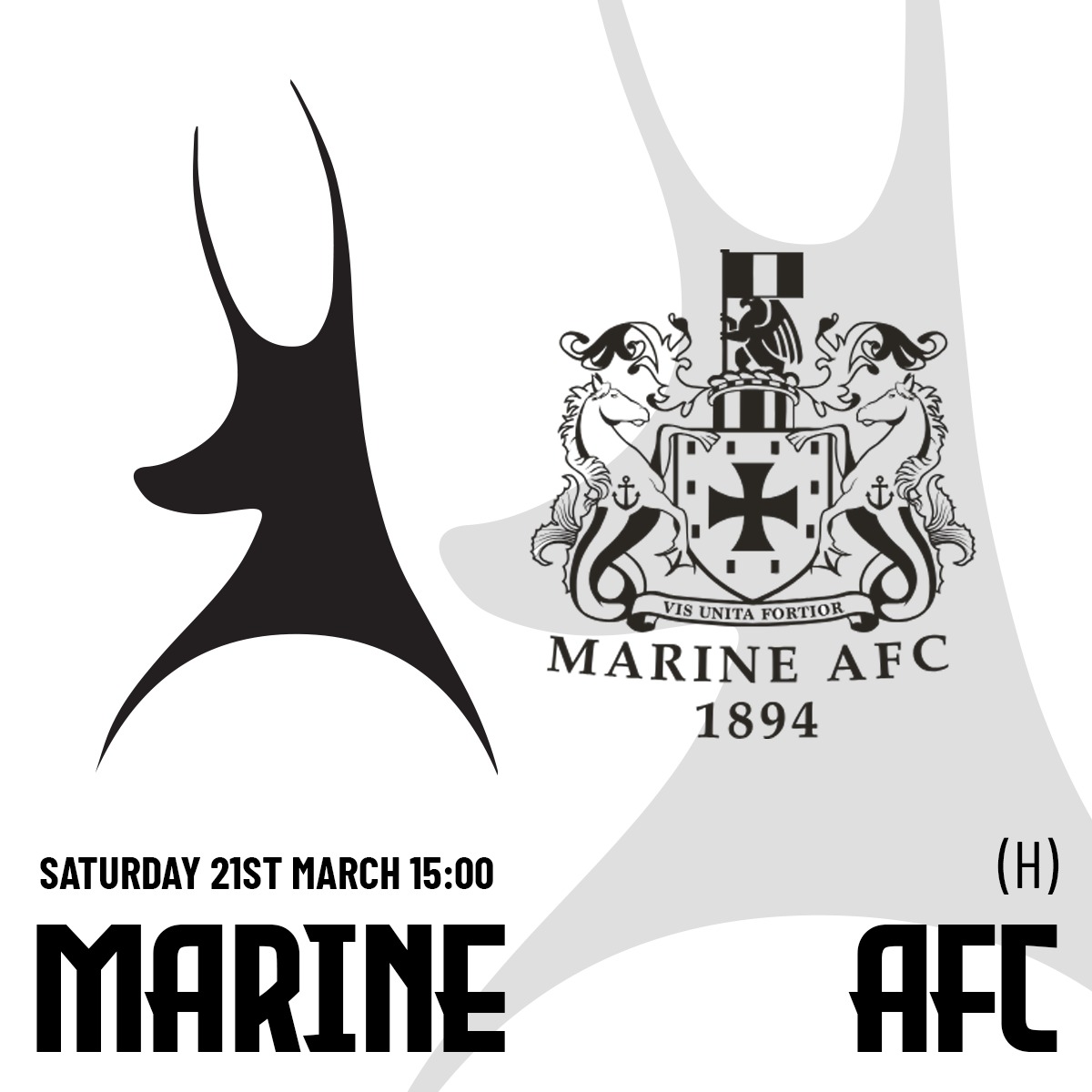 Event image 25.26 AFC Telford Utd v Marine AFC - Home