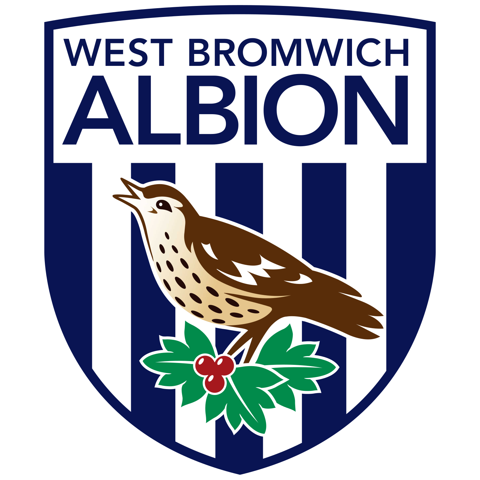 Event image West Bromwich Albion XI (Friendly)