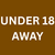 ticket item