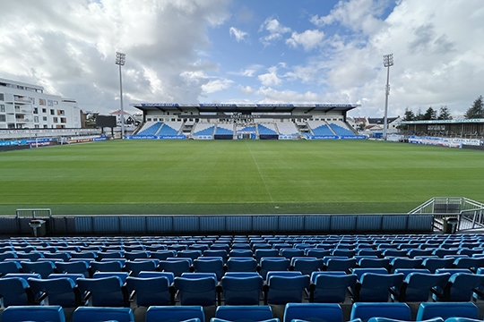 section image