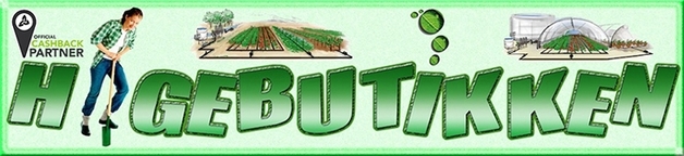 Default cashback2